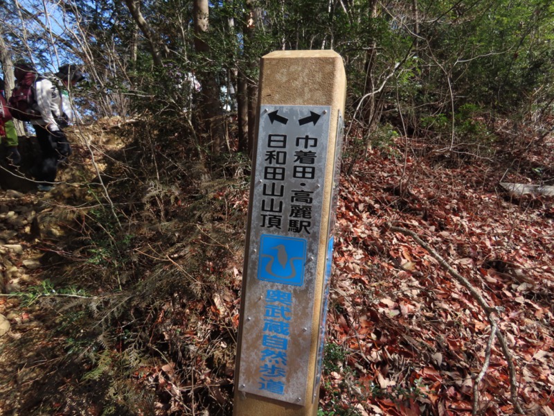 日和田山、物見山